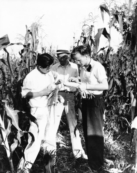 [Three unknown boys in the corn field at Madison College]