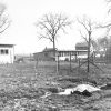 [The chicken farm at Madison College]