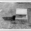 Gravemarker of Maynard Richard Young