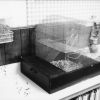 A hamster cage at Batesville Seventh-day Adventist Church School