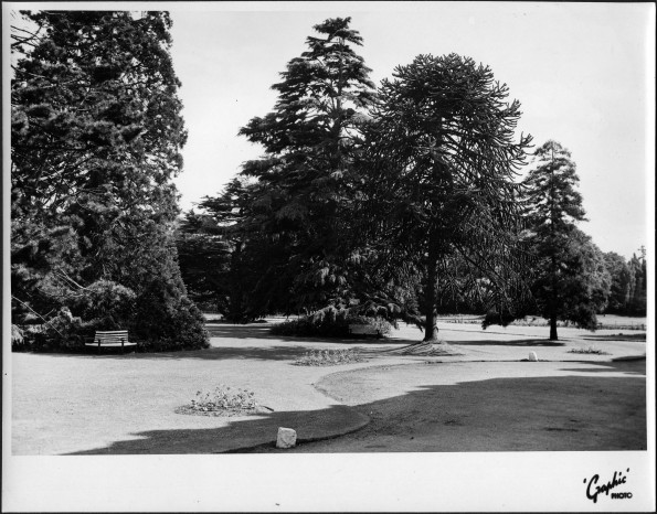 View of the grounds at Stanborough Park Sanitarium