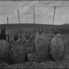 Five Kisii tribesmen with shields and spears