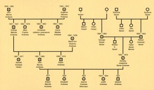 Family tree of Jeanne Andrews Willumson