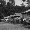 New village, Kampong Bunga, Sarawak, as result of Adventist work and instruction.