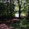 Trail toward Ascension Rock, near the Miller farm, Low Hapton, New York (near Whitehall)