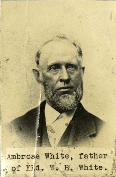 Ambrose White