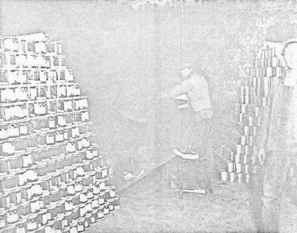 Elk Point Industrial School tomato canning industry, about 1906