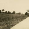 Indiana Academy farm, August 1919