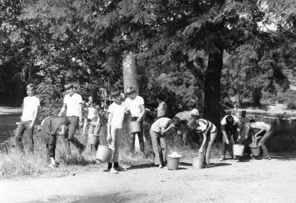 Andrews Academy students volunteer in the clean-up project