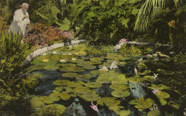 Miami - Battle Creek Sanitarium, Miami Springs, Florida, tropical pond with Dr. Kellogg [drawing]