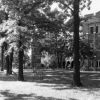 Hinsdale Sanitarium and Hospital grounds
