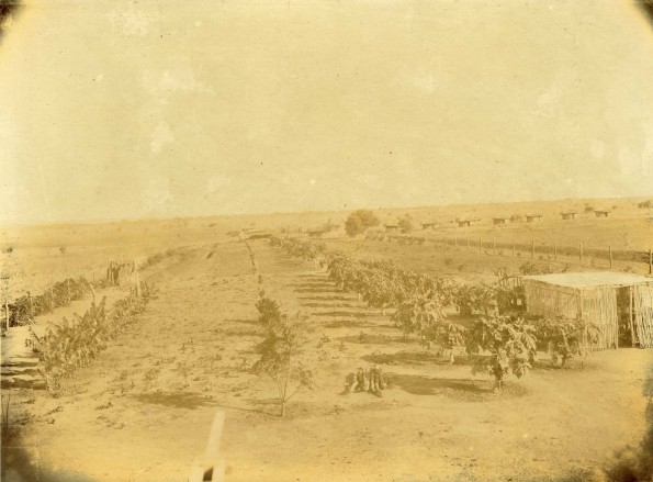 Solusi Mission farm and African huts near Solusi Mission