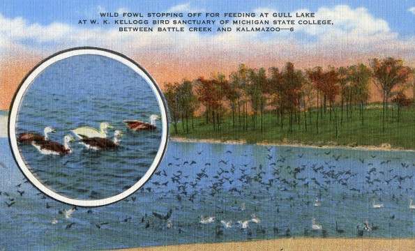W. K. Kellogg Bird Sanctuary near Battle Creek, Michigan?Ç [drawing]