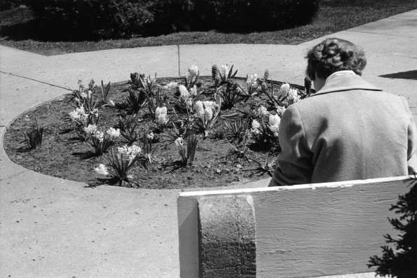 Emmanuel Missionary College Campus Scenes