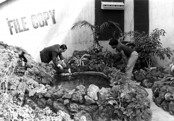 Andrews University Science Complex Price Hall (Solarium)