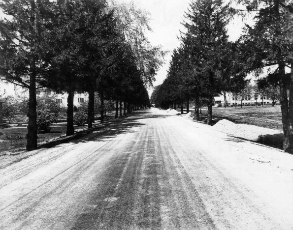 Emmanuel Missionary College Campus Scenes (Road)
