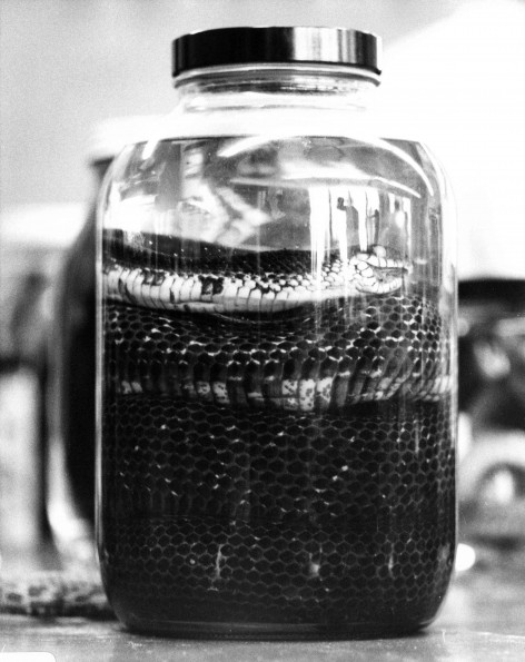 Andrews University Science Complex (Natural History Museum)