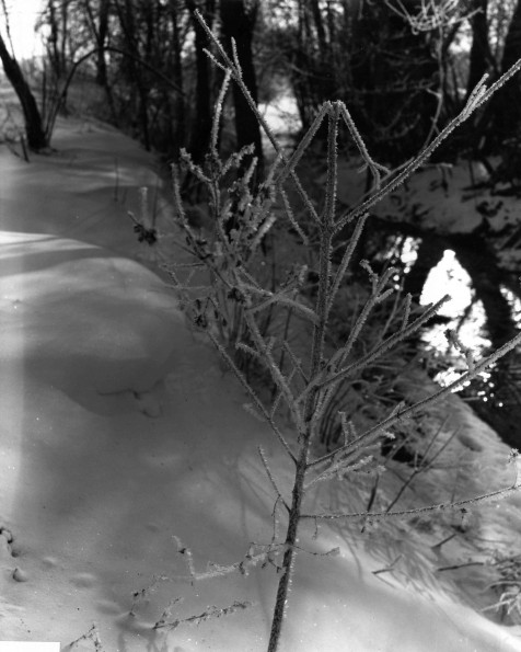 Andrews University Campus Scenes (Winter)