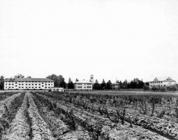 Emmanuel Missionary College Campus Scenes (Vegetable Fields)