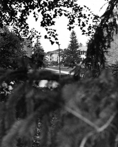 Andrews University Campus Scenes