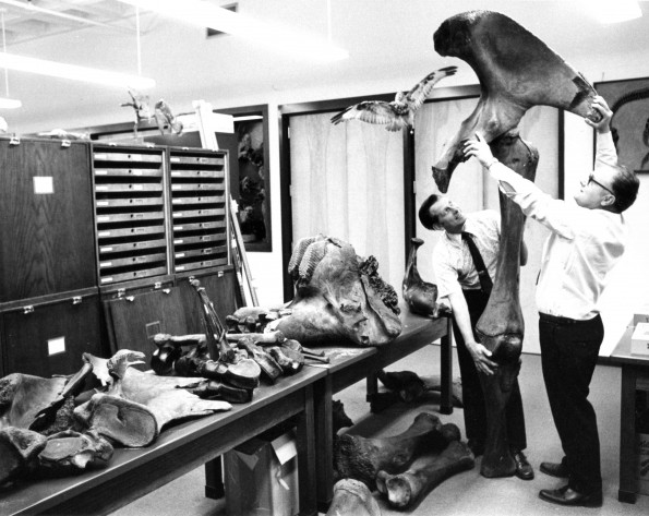 Andrews University Science Complex (Natural History Museum)