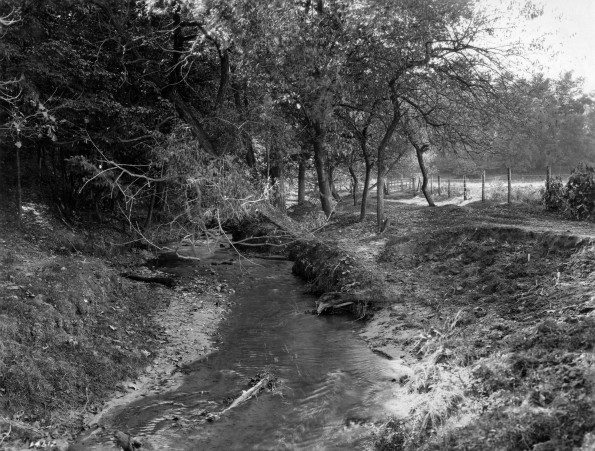 Emmanuel Missionary College Campus Scenes (Lemon Creek)