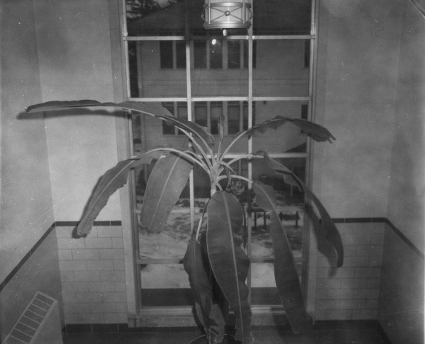 Emmanuel Missionary College Campus Scenes (Interior)