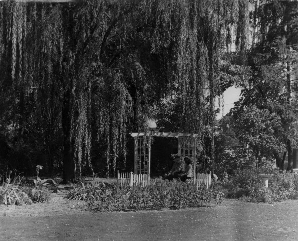 Emmanuel Missionary College Campus Scenes (Wooden Swings)
