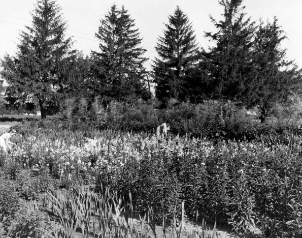 Emmanuel Missionary College Campus Scenes (Garden)