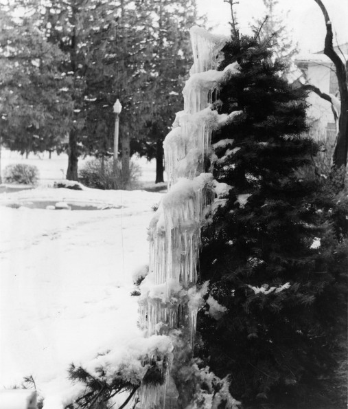 Emmanuel Missionary College Campus Scenes (Winter)