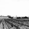 Emmanuel Missionary College Campus Scenes (Vegetable Fields)