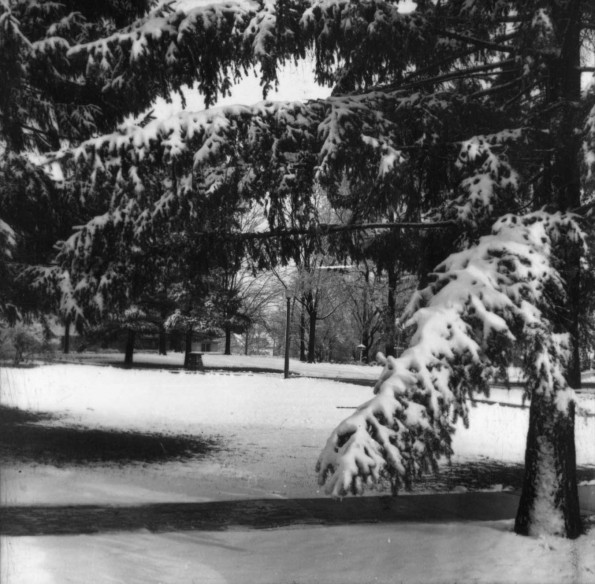 Emmanuel Missionary College Campus Scenes (Winter)