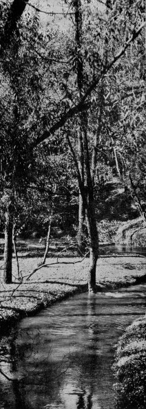 Emmanuel Missionary College Campus Scenes (Lemon Creek)