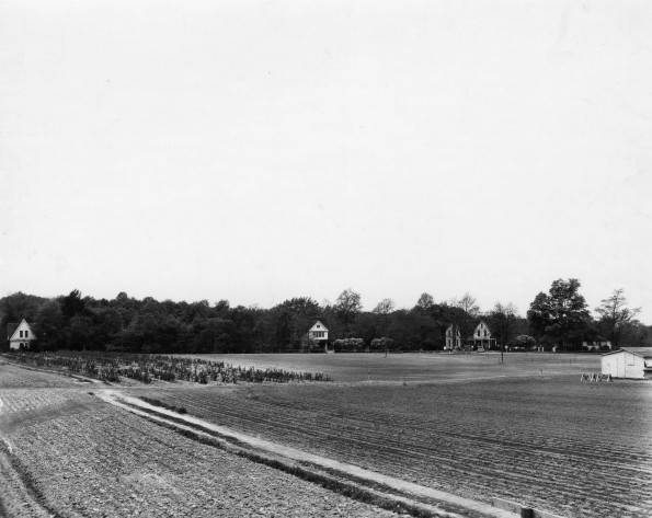 Emmanuel Missionary College Faculty Homes