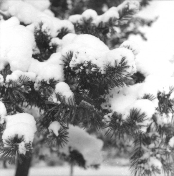 Emmanuel Missionary College Campus Scenes (Winter)