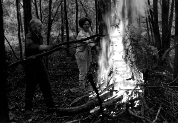 Andrews University Campus Scenes (Lowland Trails System)
