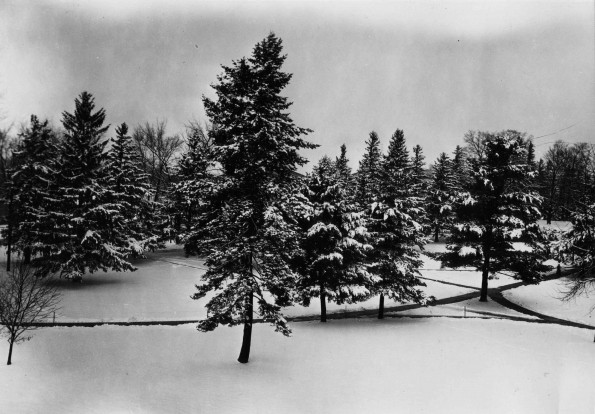 Emmanuel Missionary College Campus Scenes (Winter)