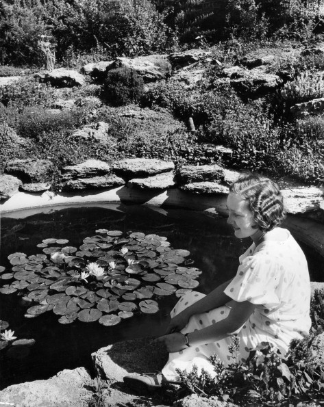 Emmanuel Missionary College Campus Scenes (Lily Pond)