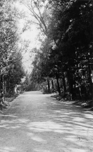 Emmanuel Missionary College Campus Scenes