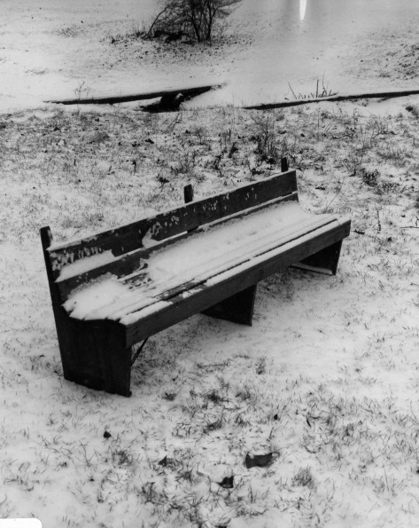 Andrews University Campus Scenes (Winter) (Lemon Creek)