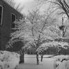 Emmanuel Missionary College Campus Scenes (Winter)