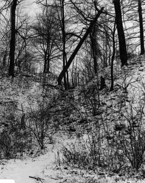 Andrews University Campus Scenes (Winter)