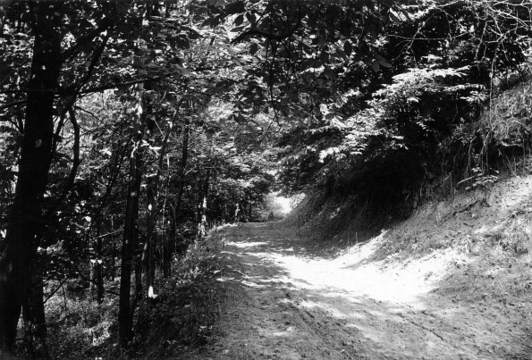 Emmanuel Missionary College Campus Scenes