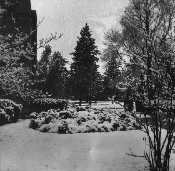 Emmanuel Missionary College Campus Scenes (WInter)