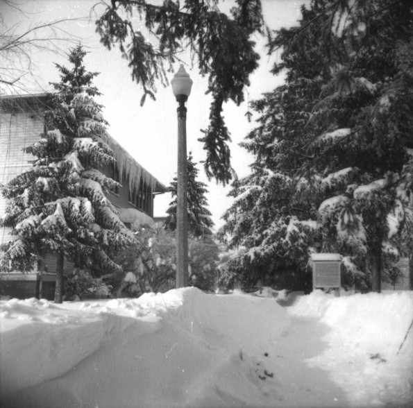 Emmanuel Missionary College Campus Scenes (Winter)