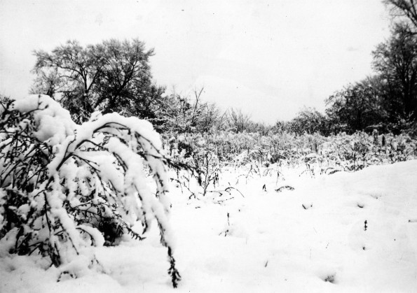 Emmanuel Missionary College Campus Scenes (Winter)