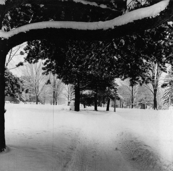 Emmanuel Missionary College Campus Scenes (Winter)