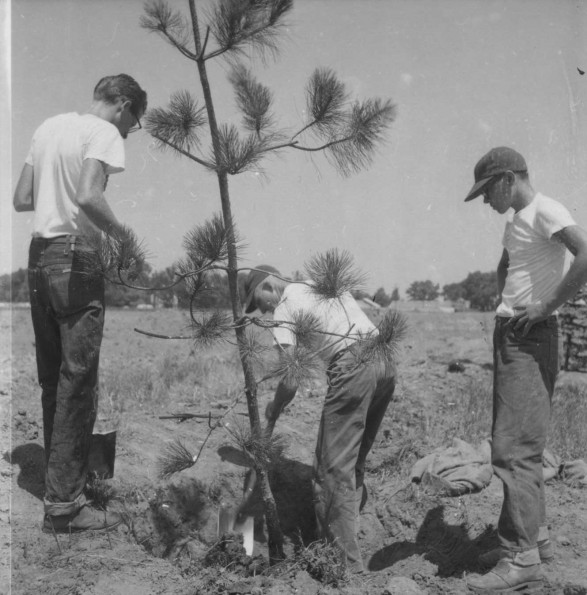 Andrews University Campus Center (Construction)