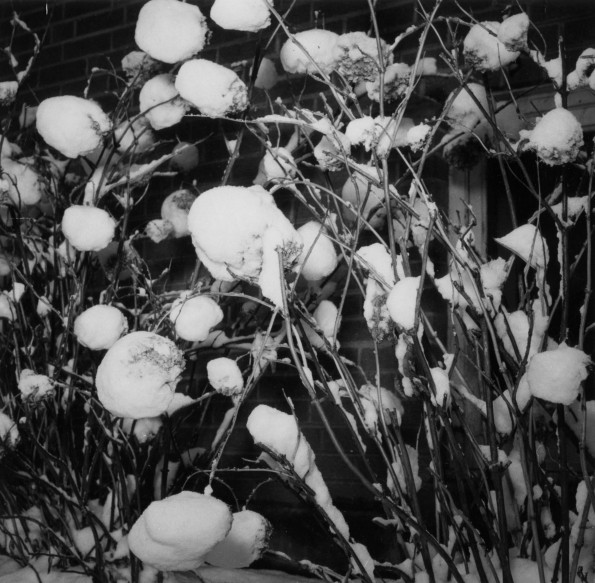 Andrews University Campus Scenes (Winter)