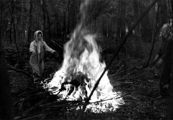 Andrews University Campus Scenes (Lowland Trails System)